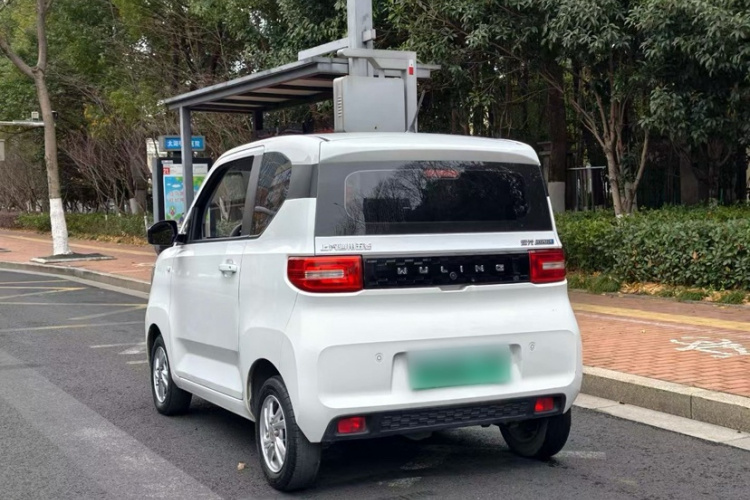 五菱汽车 宏光MINIEV 2020款 悦享款 磷酸铁锂车身外观6004