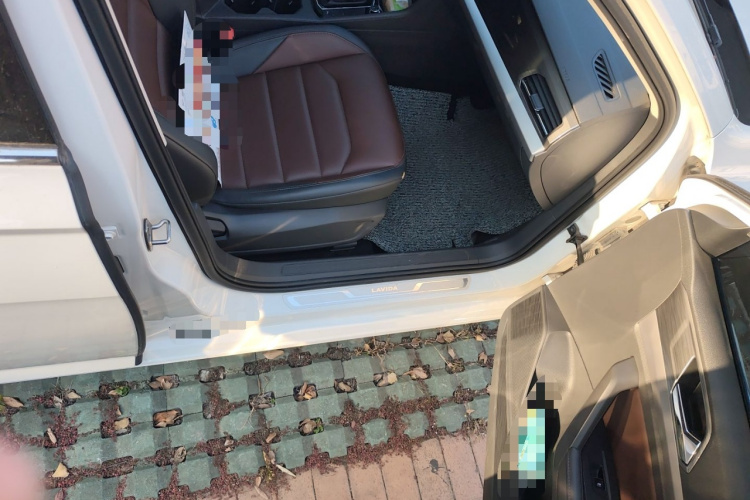 大众 朗逸 2019款 280TSI DSG豪华版 国VI局部细节9005