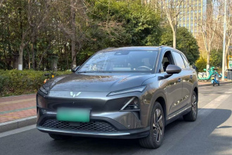 五菱汽车 五菱星光S 2024款 510km 旗舰型