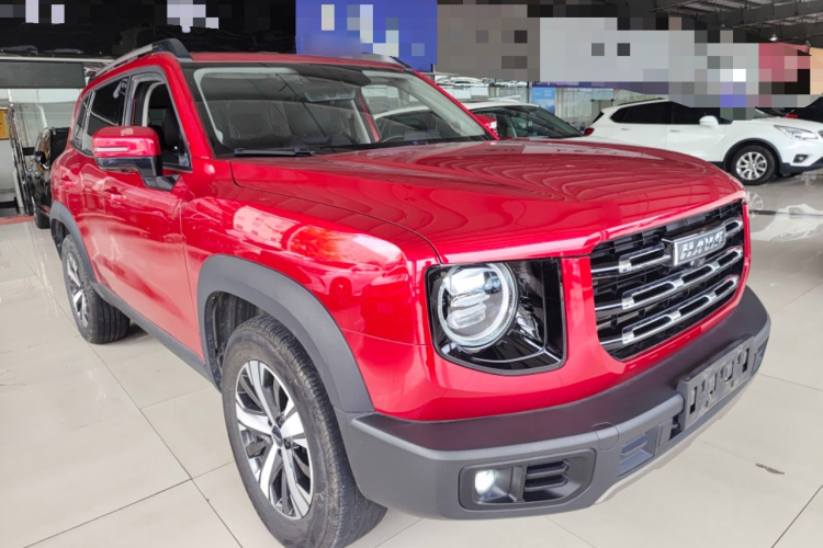 哈弗大狗 2021款 1.5T DCT两驱拉布拉多版车身外观3