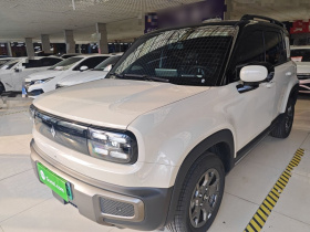 宝骏悦也Plus 2026款 301km旗舰版