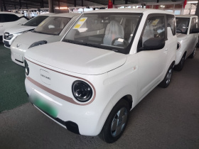 吉利银河 2024款 熊猫mini 200km 耐力熊