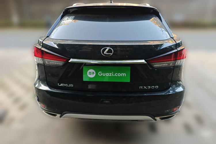 雷克萨斯RX 2020款 300 四驱典雅版 国VI车身外观6