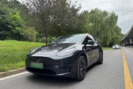 特斯拉 Model Y 2024款 后轮驱动版
