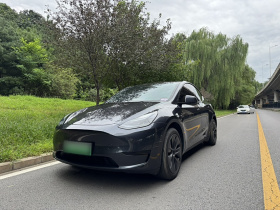 特斯拉 Model Y 2024款 后轮驱动版