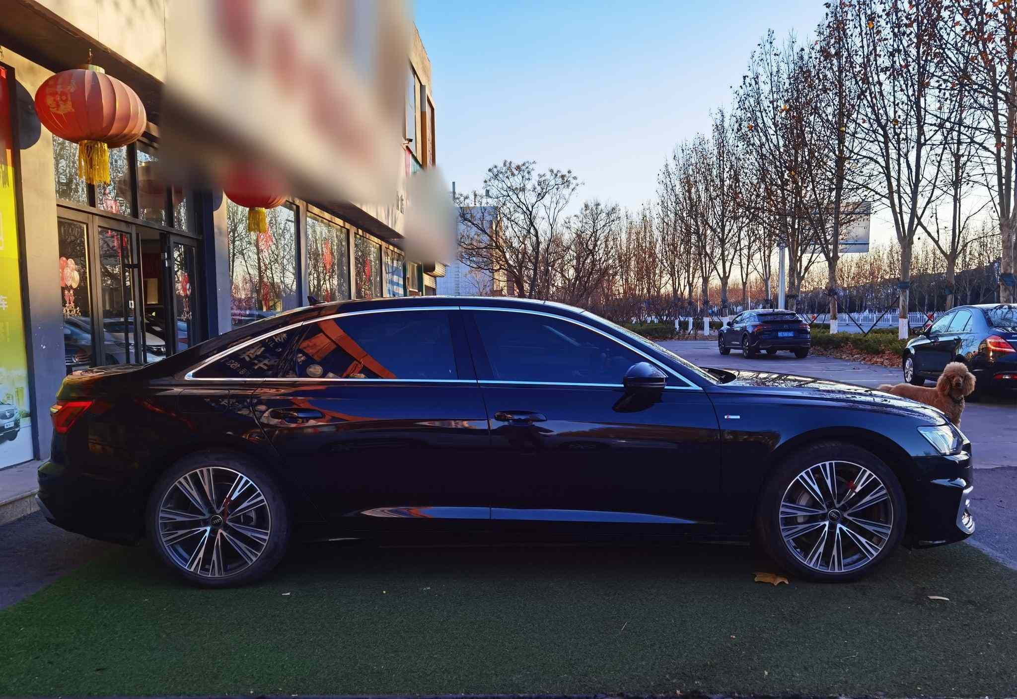 奥迪A6L 2025款 改款 45 TFSI 臻选动感型(4)