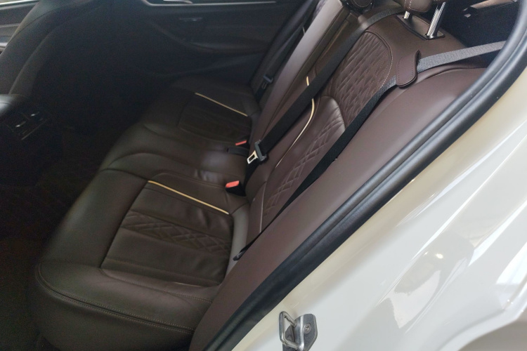 宝马5系 2020款 530Li 领先型 豪华套装中控内饰7004