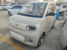 五菱汽车 宏光MINIEV 2024款 第三代 215km 青春版