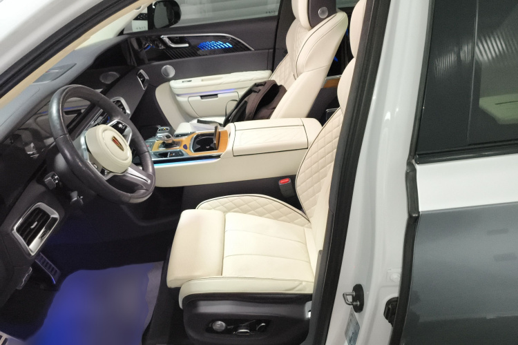 红旗E-HS9 2021款 510km 旗领版 四座局部细节19