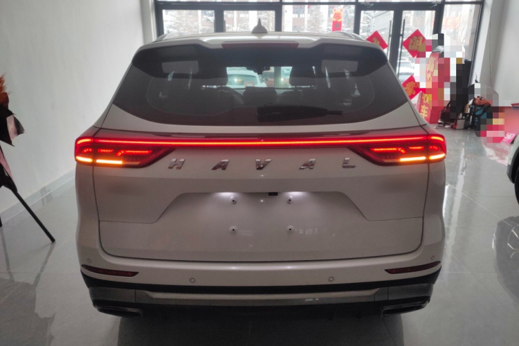 哈弗H6 2021款 国潮版 1.5T 自动冠军版车身外观6004