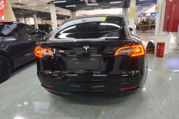 特斯拉 Model 3 2020款 标准续航后驱升级版车身外观6004