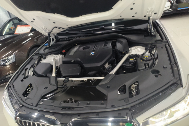 宝马5系 2020款 530Li 尊享型 豪华套装局部细节24