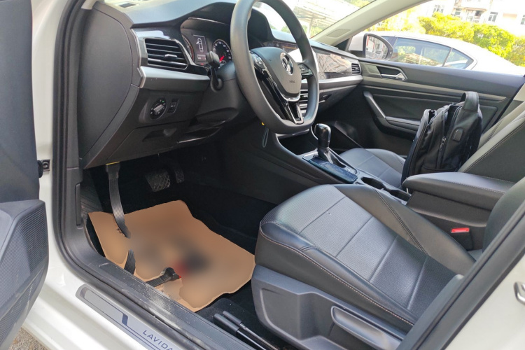 大众 朗逸 2019款 1.5L 自动舒适版 国VI局部细节19