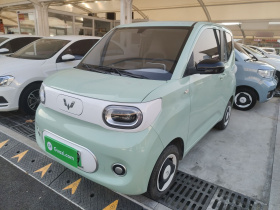 五菱汽车 宏光MINIEV 2024款 第三代 215km 青春版