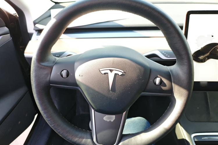 特斯拉 Model 3 2021款 改款 标准续航后驱升级版 3D1中控内饰13