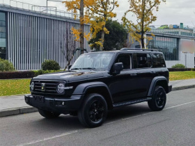 坦克300 2024款 2.0T 征服者