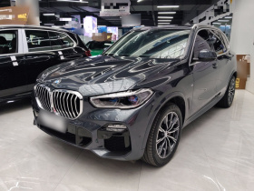宝马X5(进口) 2021款 xDrive40i M运动套装