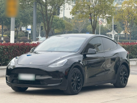 特斯拉 Model Y 2021款 标准续航后驱版