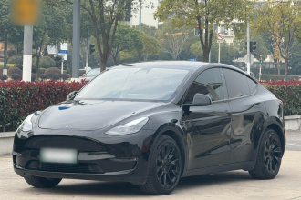 特斯拉 Model Y 2021款 标准续航后驱版