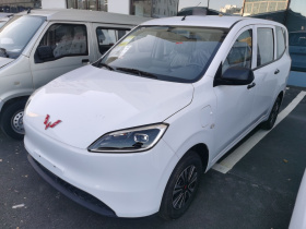 五菱汽车 五菱宏光新能源 2024款 纯电版 300KM 标准型