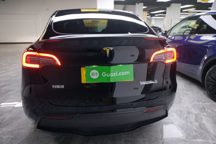 特斯拉 Model Y 2021款 Performance高性能全轮驱动版车身外观6
