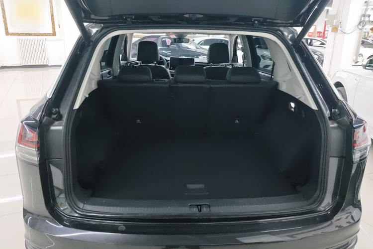 大众 探岳 2024款 300TSI 两驱豪华Plus进阶版机舱底盘23