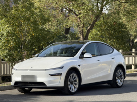 特斯拉 Model Y 2025款 长续航全轮驱动版