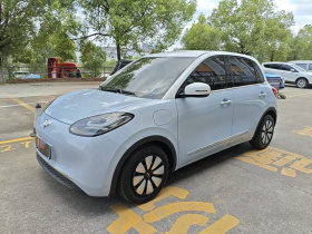 五菱汽车 五菱缤果 2023款 333km 灵犀互联+款