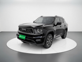 哈弗大狗 PLUS 2023款 2.0T 两驱潮野版Plus