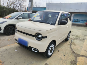 吉利银河 熊猫 2025款 210km 元气熊