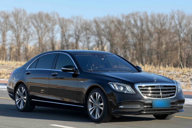 奔驰S级 2019款 S 350 L 豪华型 臻藏版车身外观6004