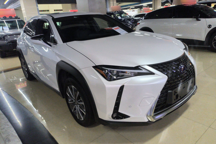 雷克萨斯UX新能源 2020款 300e 纯·悦版车身外观3