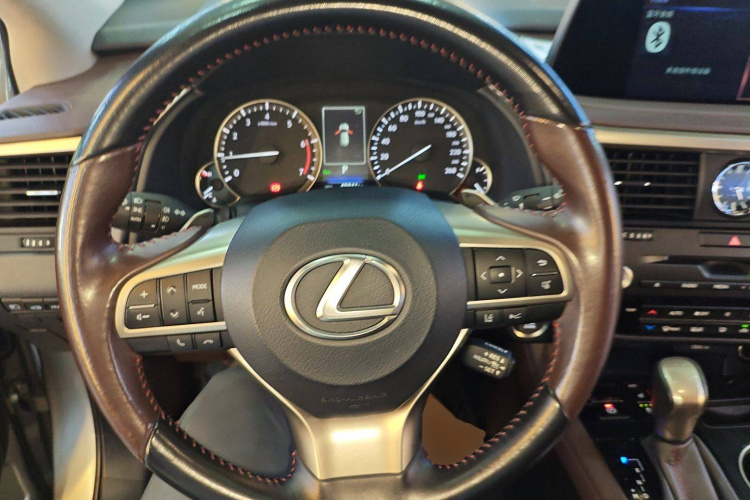 雷克萨斯RX 2020款 改款 300 四驱典雅版局部细节13