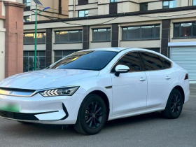 比亚迪 秦PLUS 2025款 EV 510KM 标准版