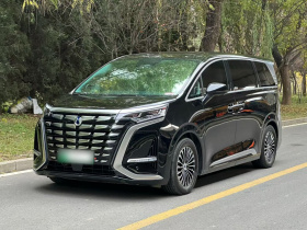 腾势D9 2024款 DM-i 980 四驱尊荣型