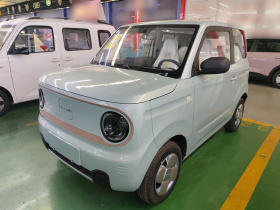 吉利银河 2024款 熊猫mini 200km 耐力熊