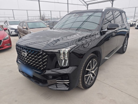 广汽传祺 传祺GS8 2024款 领航系列 2.0TGDI 两驱豪华智联版