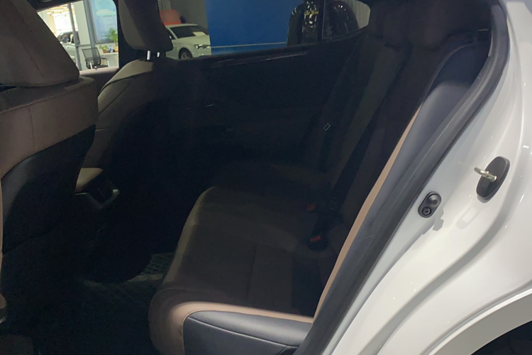 雷克萨斯ES 2022款 200 卓越版中控内饰7001