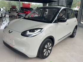 五菱汽车 五菱缤果 2025款 333km 悦享款