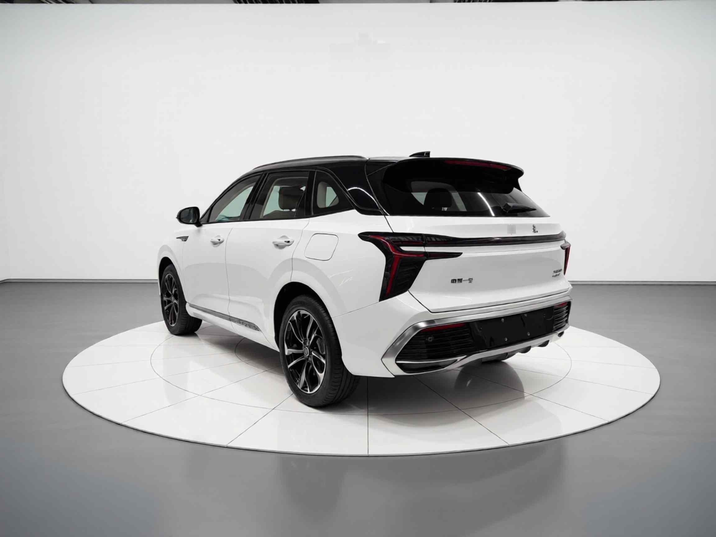 红旗HS3 PHEV 2025款 117km 劲为PLUS版(3)