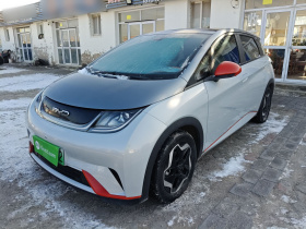 比亚迪 海豚 2021款 405km 时尚版