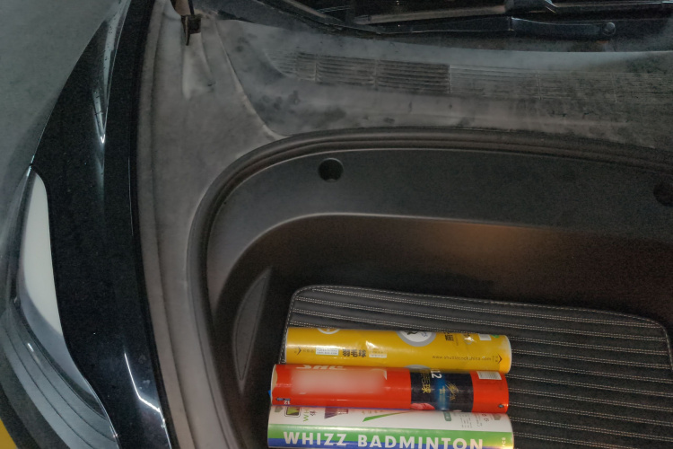 特斯拉 Model 3 2021款 标准续航后驱升级版局部细节9006