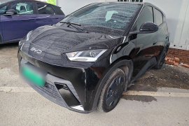 比亚迪 海鸥 2024款 荣耀版 305km 活力版