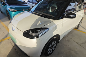 五菱汽车 五菱缤果 2023款 410km 灵犀尊享款