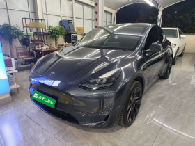 特斯拉 Model Y 2024款 长续航全轮驱动版