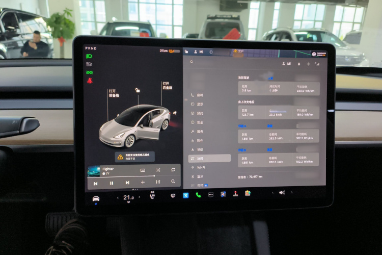 特斯拉 Model 3 2021款 标准续航后驱升级版局部细节14