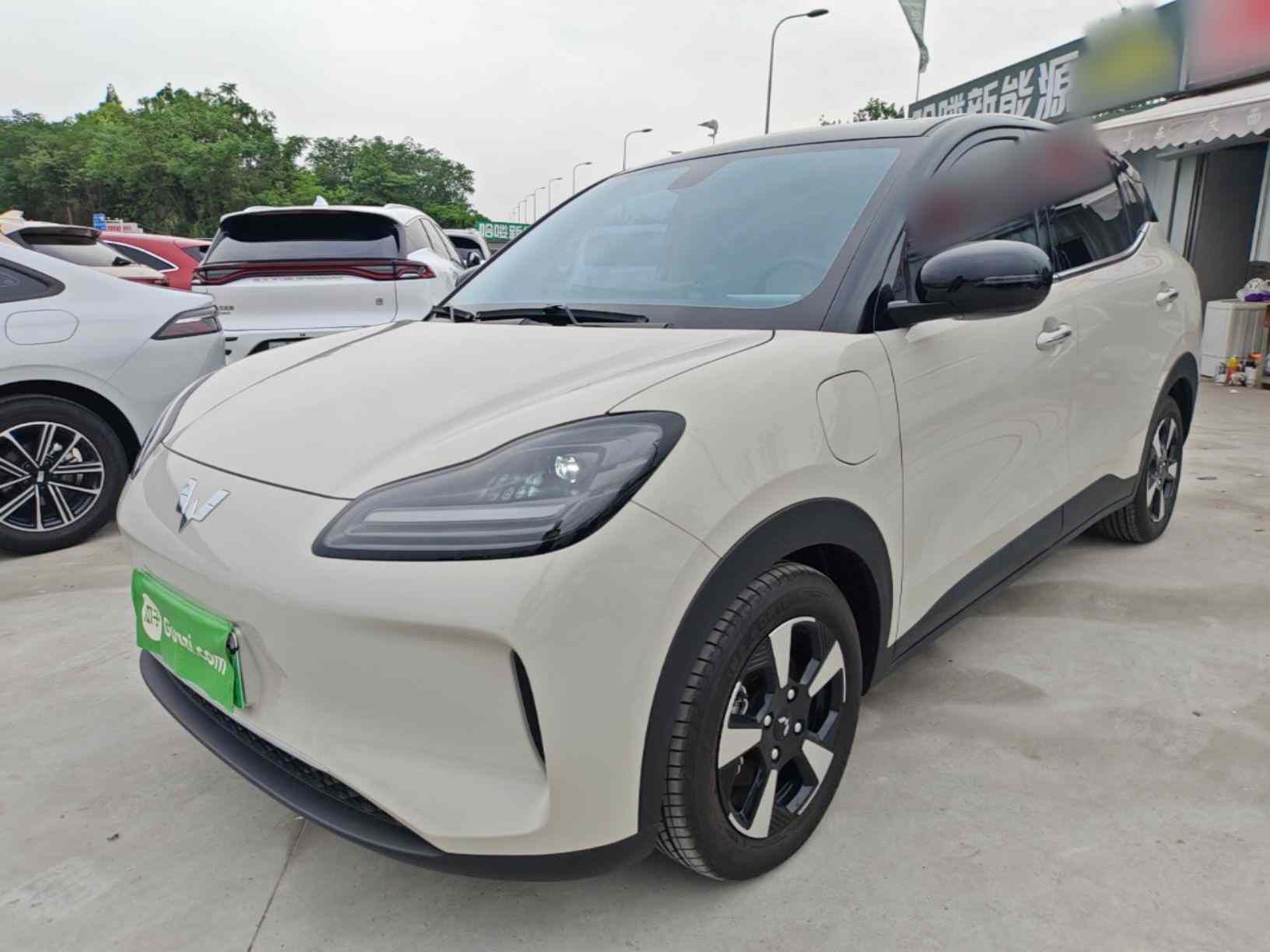 五菱汽车 五菱缤果PLUS 2024款 330km 五座版(2)