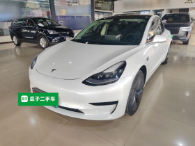 特斯拉 Model 3(进口) 2019款 标准续航后驱升级版(52度)