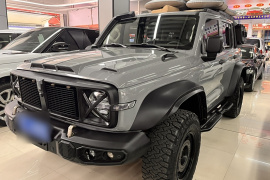 坦克300 2023款 2.0T 铁骑02