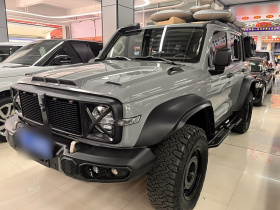 坦克300 2023款 2.0T 铁骑02